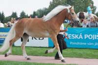 Greta. Pro zv�t�en� klikn�te