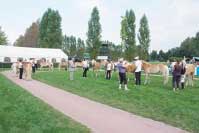 K vid�n� byla kr�sn� kolekce klisen. Pro zv�t�en� klikn�te