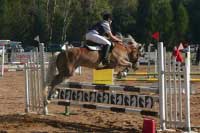 V�t�zov� parkurov� sout�e - Filip To�ovsk� a Lady. Pro zv�t�en� klikn�te