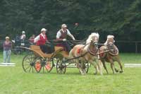 Man�el� dr�pelovi se sv�mi klisnami p�i vozatajsk� sout�i. Pro zv�t�en� klikn�te