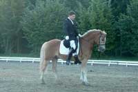 Pavel Li�ka se ��astnil s h�ebcem Hany drezurn� sout�e... Pro zv�t�en� klikn�te