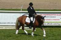 ...a s h�ebcem Monty uk�zky k�ru p�ed tribunou. Pro zv�t�en� klikn�te