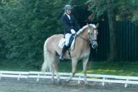 ��astnice �ampion�tu, drezurn� i skokov� sout�e, Calera s Dominikou Nevolovou. Pro zv�t�en� klikn�te