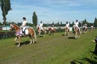 Hromadn� n�stup v pod�n� hafling�, v �ele pr�vodu Emmeli. Pro zv�t�en� klikn�te