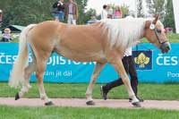 Emmeli. Pro zv�t�en� klikn�te