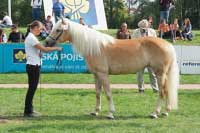 Lo�sk� �ampionka Sunflower se letos um�stila na druh�m m�st�. Pro zv�t�en� klikn�te