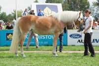 Fantasy. Pro zv�t�en� klikn�te