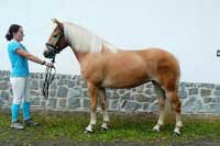 �ja. Pro zv�t�en� klikn�te