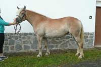 Gabriela. Pro zv�t�en� klikn�te