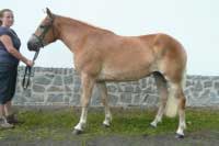 Gita. Pro zv�t�en� klikn�te