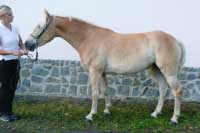 Hellenica. Pro zv�t�en� klikn�te