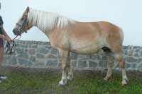 Olympie. Pro zv�t�en� klikn�te