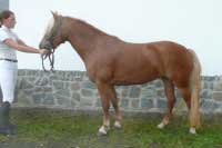 Roxana. Pro zv�t�en� klikn�te