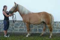 Vanessa. Pro zv�t�en� klikn�te