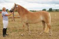 Bajka. Pro zv�t�en� klikn�te