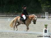 V�t�zka zkou�ek v�konnosti p�i drezu�e. Pro zv�t�en� klikn�te