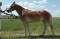 Ph�nix bohu�el HPK t�sn� unikla. Pro zv�t�en� klikn�te