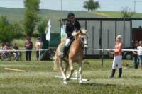 ZV �sp�n� slo�ila klisna Gerta. Pro zv�t�en� klikn�te