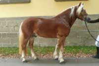 W-Max. Pro zv�t�en� klikn�te