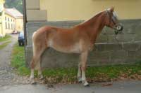 �la. Pro zv�t�en� klikn�te