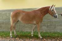 Claudie. Pro zv�t�en� klikn�te