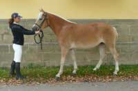 Matylda. Pro zv�t�en� klikn�te