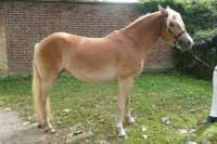 Lesanka. Pro zv�t�en� klikn�te