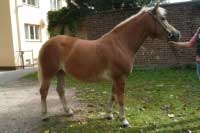 Gloria. Pro zv�t�en� klikn�te