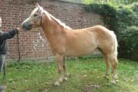 Lucky. Pro zv�t�en� klikn�te