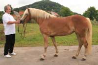 Rhoda. Pro zv�t�en� klikn�te