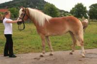 Saly. Pro zv�t�en� klikn�te