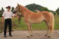 Segunda. Pro zv�t�en� klikn�te