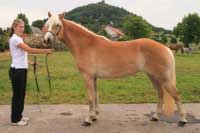 Sorella. Pro zv�t�en� klikn�te