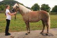 Anita. Pro zv�t�en� klikn�te