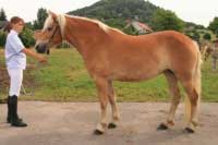 Cinisella. Pro zv�t�en� klikn�te