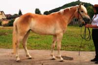 Faluni. Pro zv�t�en� klikn�te