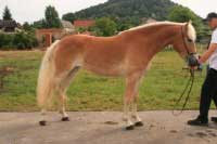 Fantasy. Pro zv�t�en� klikn�te