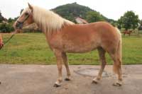 Kora. Pro zv�t�en� klikn�te