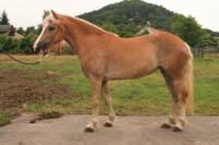 Linda. Pro zv�t�en� klikn�te