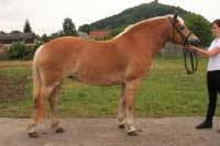 Missi. Pro zv�t�en� klikn�te