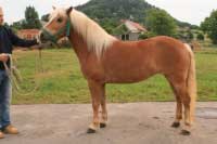 Nancy. Pro zv�t�en� klikn�te