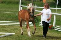 Avalon. Pro zv�t�en� klikn�te