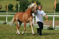 Avalon. Pro zv�t�en� klikn�te