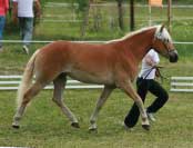 Cabina. Pro zv�t�en� klikn�te