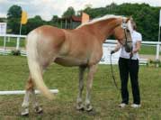 Campbella. Pro zv�t�en� klikn�te