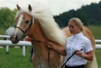 Daisy. Pro zv�t�en� klikn�te