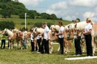 T��da dvoulet�ch. Pro zv�t�en� klikn�te