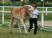 Faluni. Pro zv�t�en� klikn�te