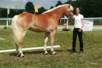 Fantasy. Pro zv�t�en� klikn�te