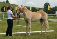 Ganika. Pro zv�t�en� klikn�te